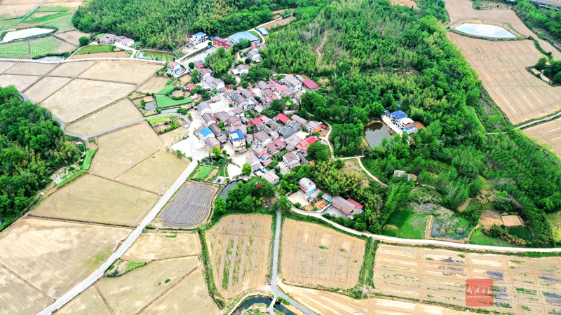 白墻黛瓦的歷史印記——探訪赤壁安豐村古村落